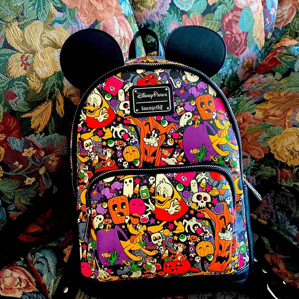 Disney Land mini backpack. Rarely used.